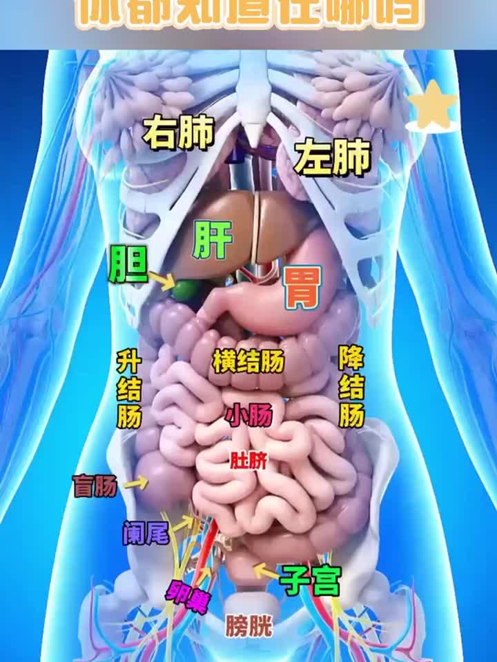 女性身体奥秘:私密部位结构直观展示