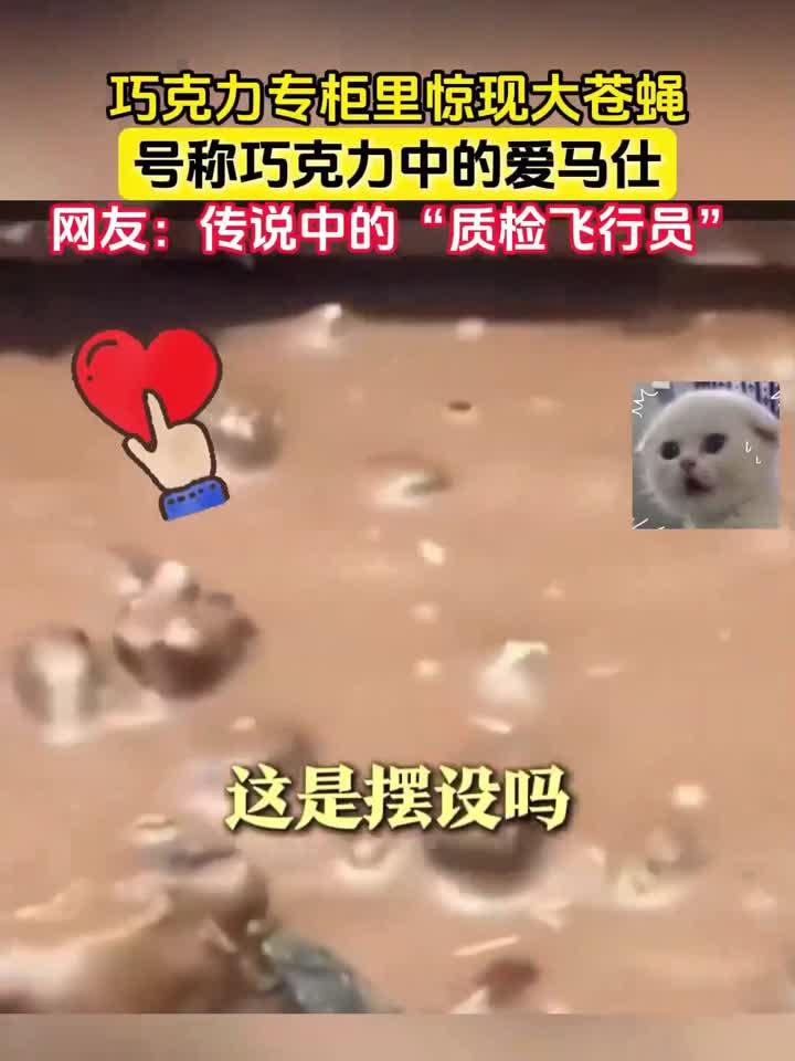 巧克力专柜里惊现大苍蝇,号称巧克力中的爱马仕
