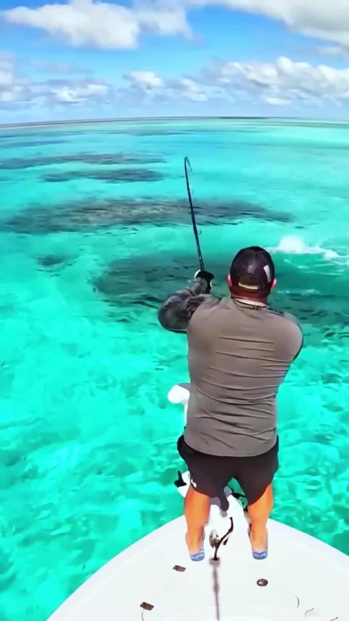 小伙在清晰见底的海域钓鱼，钓到百斤的大青衣，真的是发财了