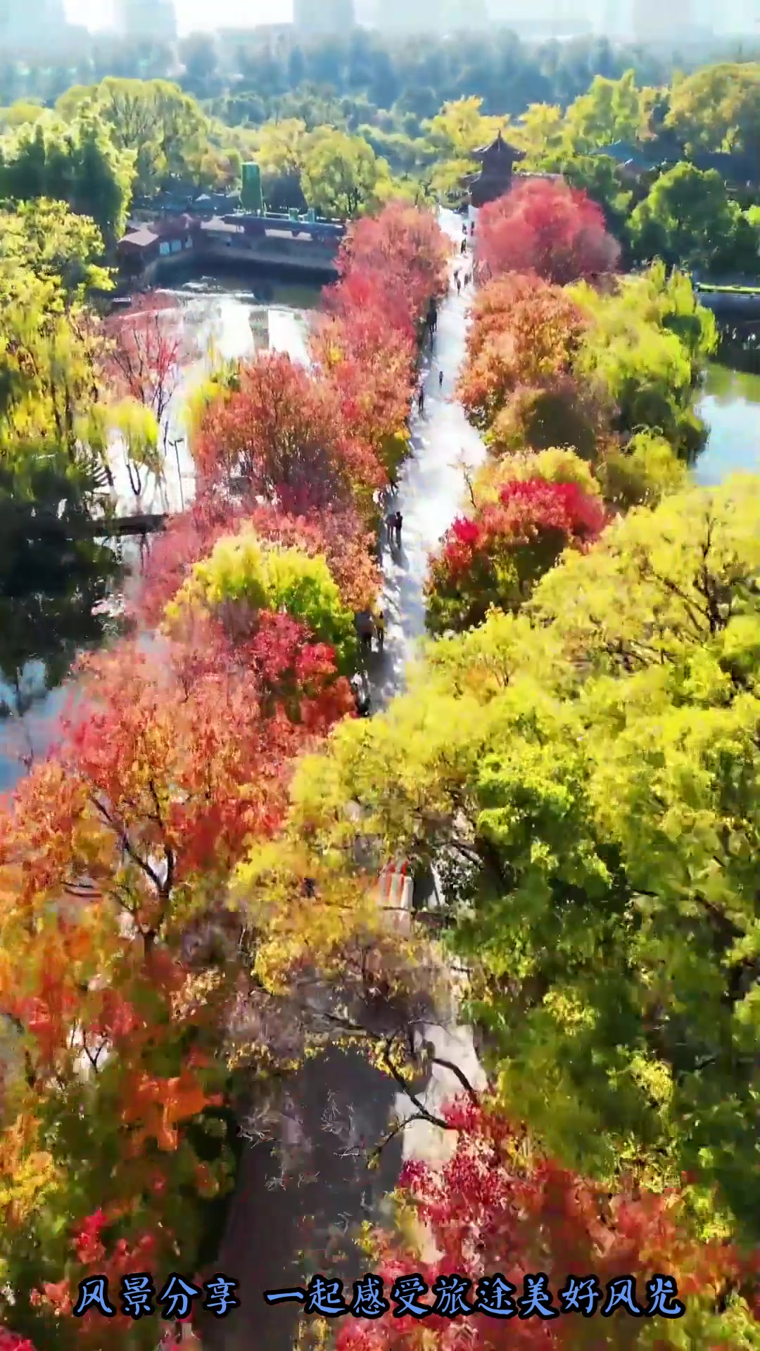 夏日旅行,“十亩荷花鱼世界,半城杨柳抚楼台“,昆明的“城中碧