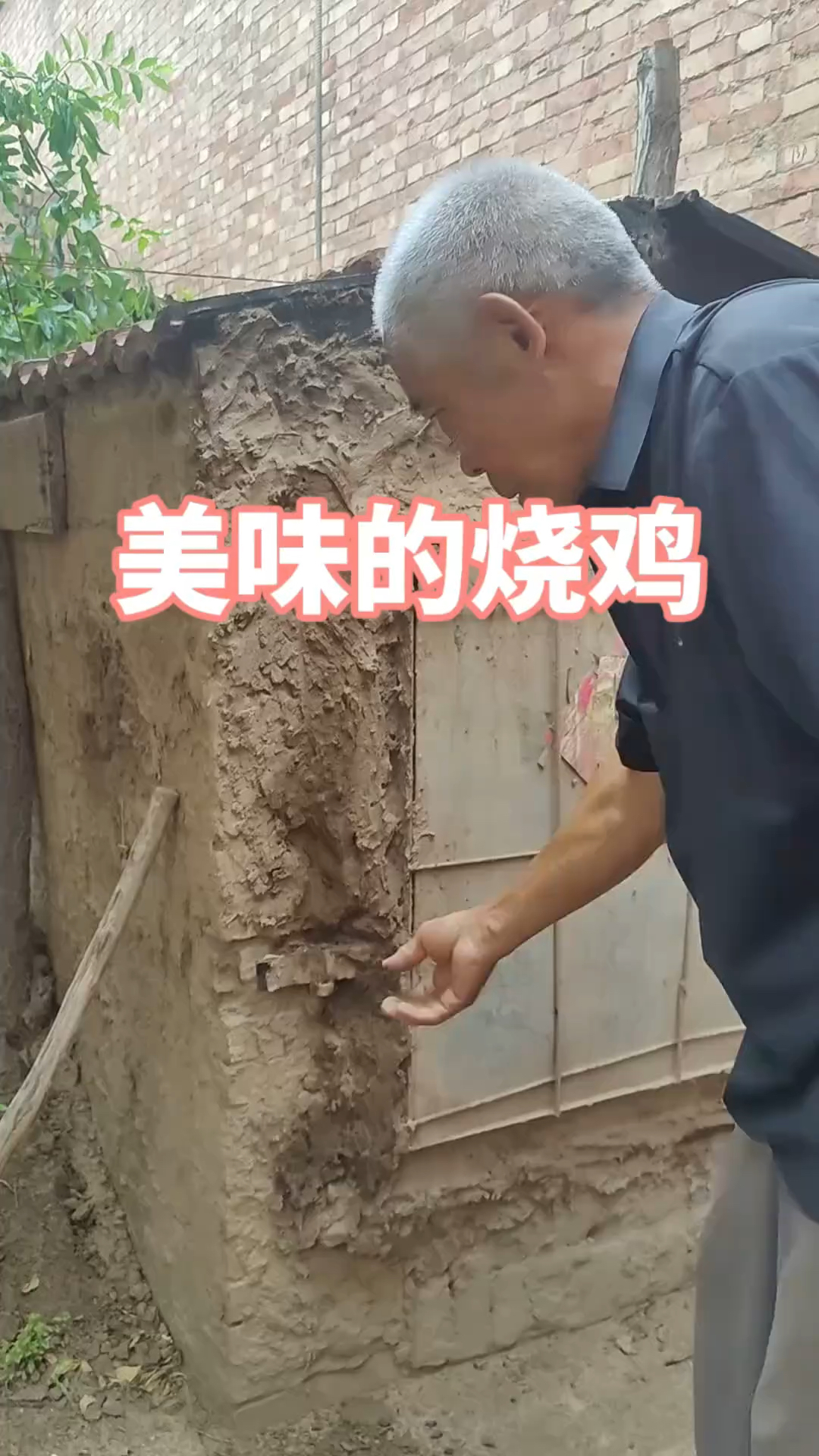 光看着这美味的烧鸡,口水都止不住的流呀