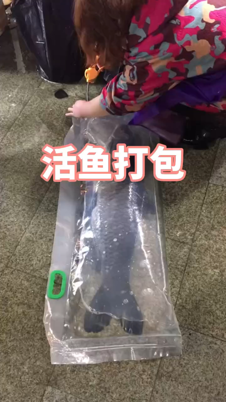 真的是太方便了,活鱼也能快递运输了