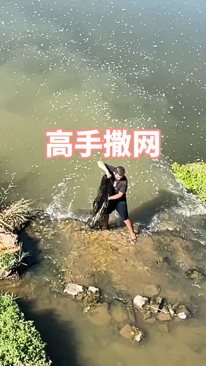 这哪里是撒的鱼网,简直就是艺术呀