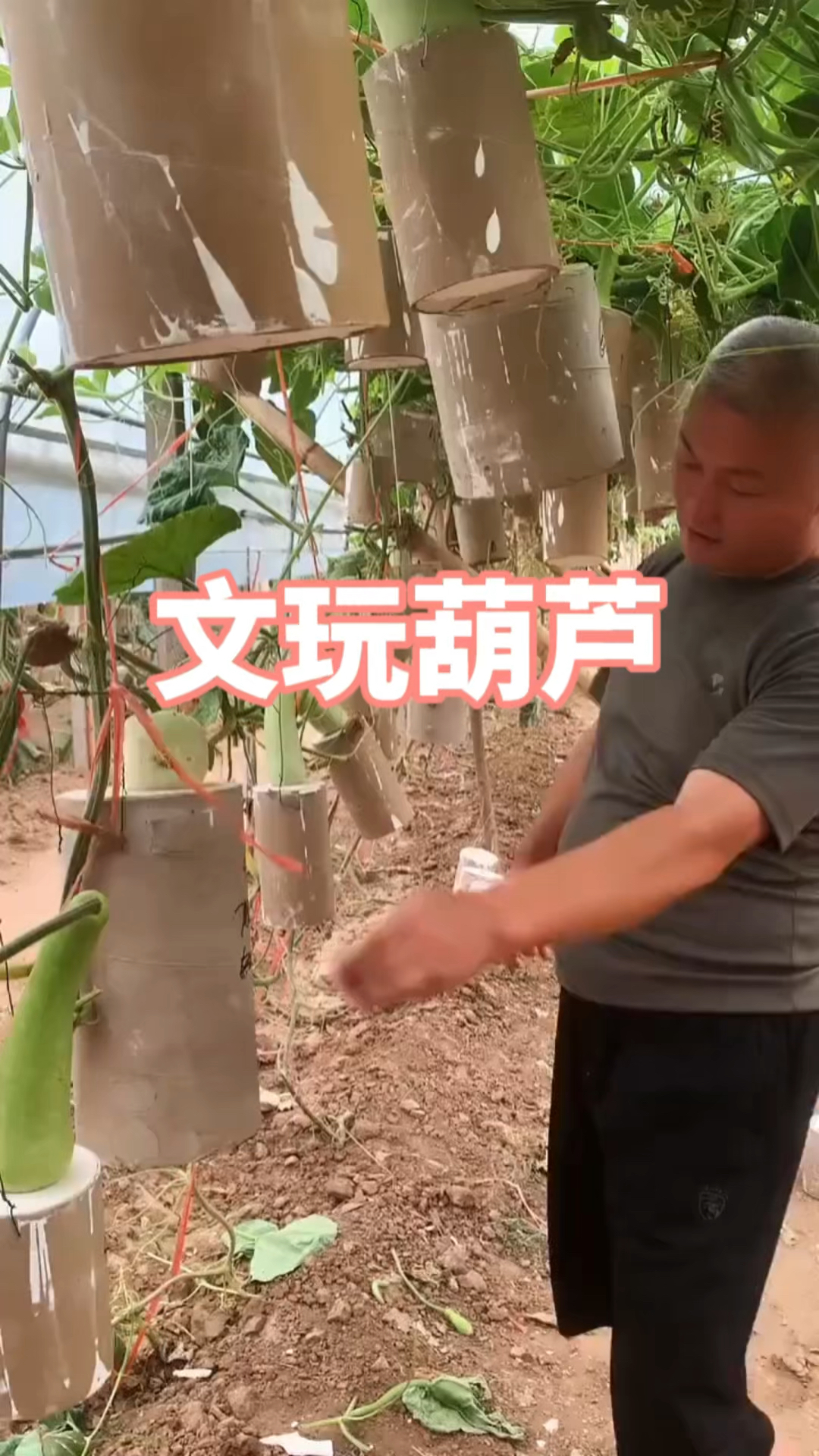 原来文玩葫芦都是这样做出来的呀