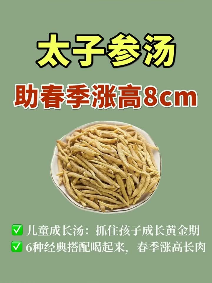 儿童春季成长饮 太子参的六种经典搭配