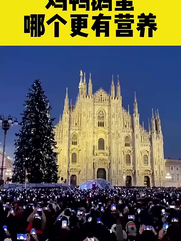 鸡鸭鹅蛋大比拼，到底哪个营养更胜一筹！