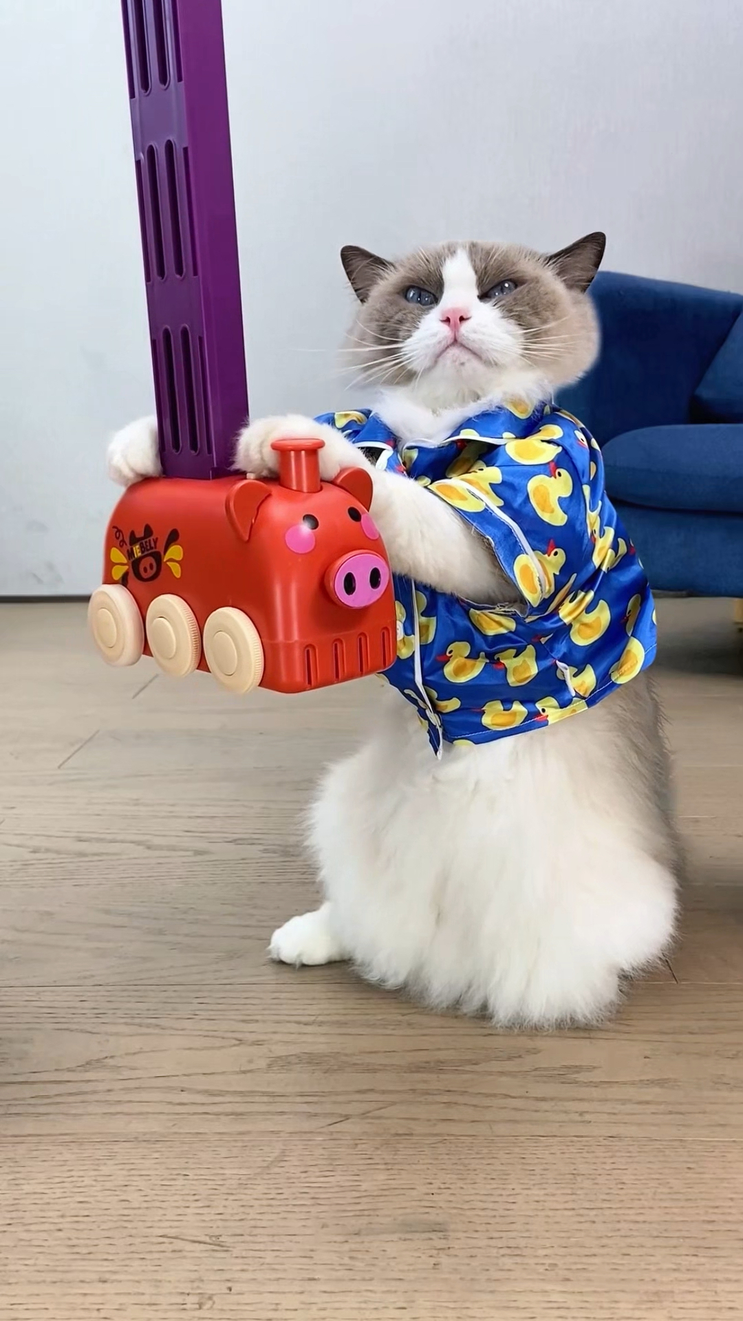 闯祸了怎么办?别慌,看小Puff如何解决~