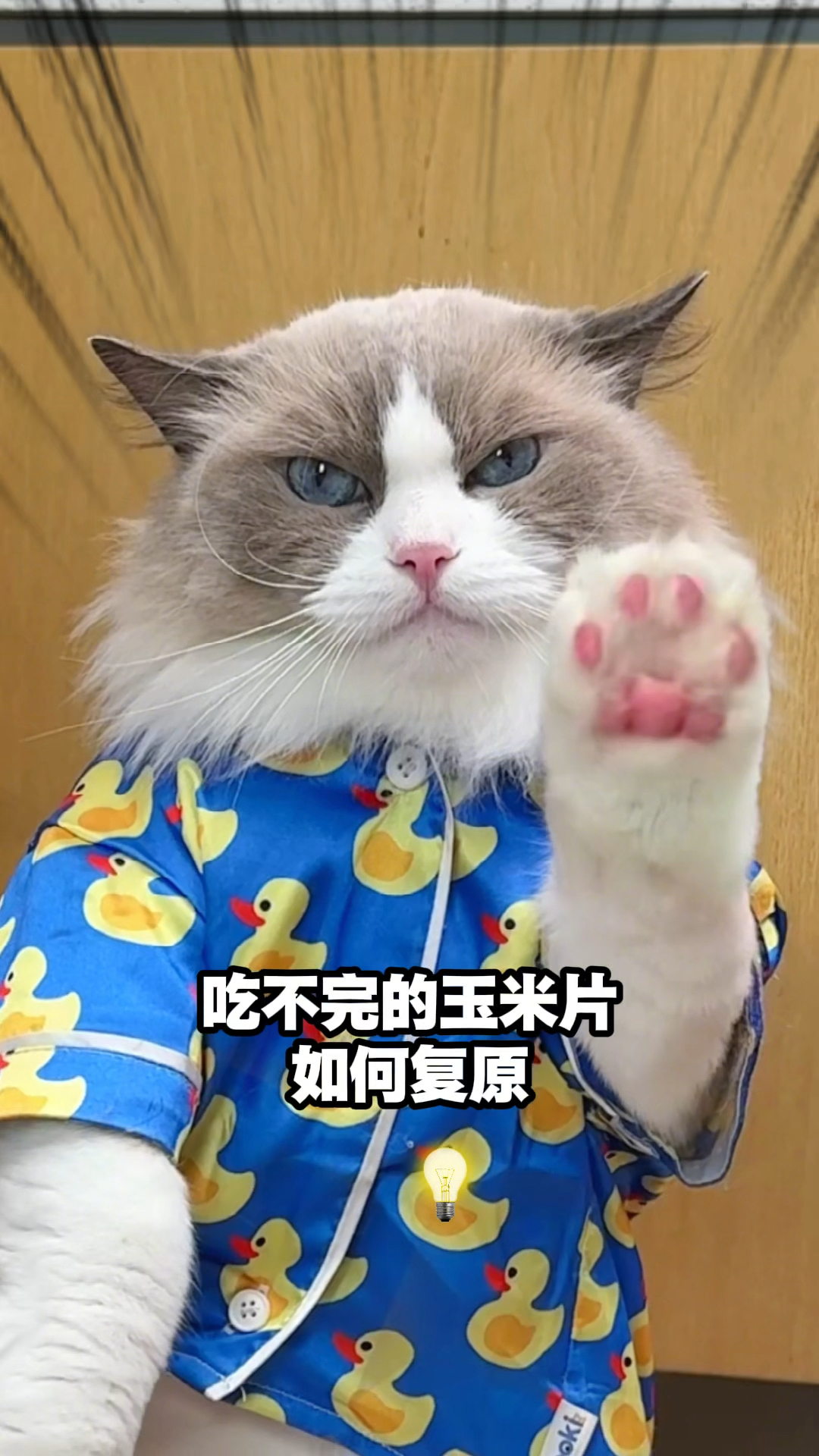 不要浪费食物！和Puff一起来把它们复原叭！