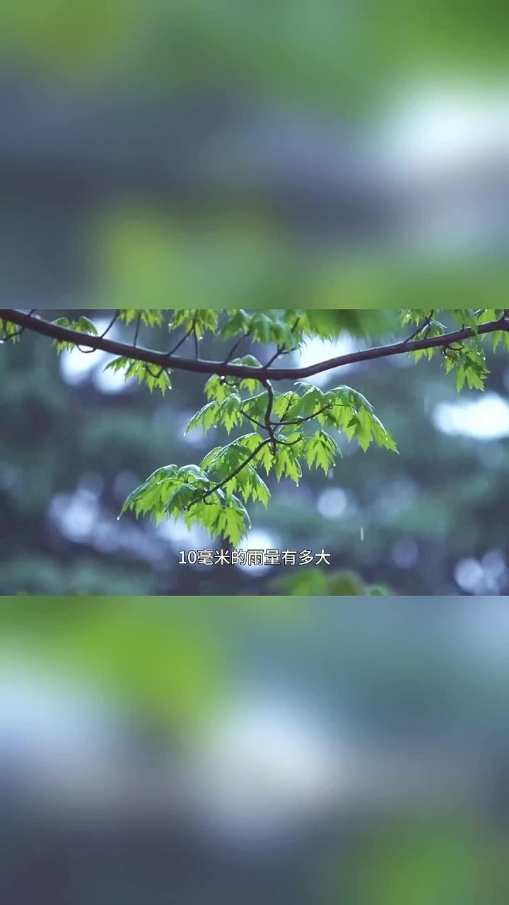 你知道吗？10毫米的雨量有多大？假如地球连续降雨，地球会变成水球吗？