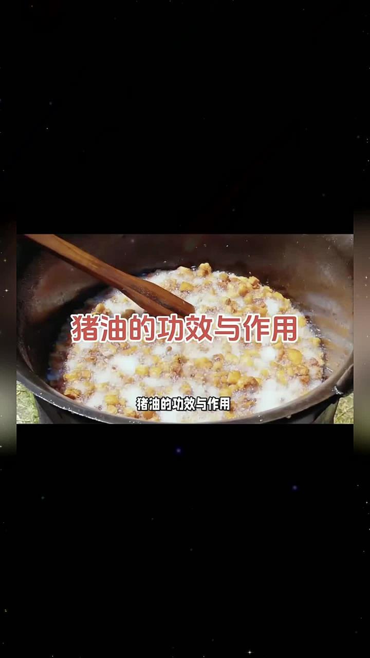 猪油的功效与作用 每天学习一点点 猪油功效与作用 传统美食 滋润皮肤 烹饪技巧