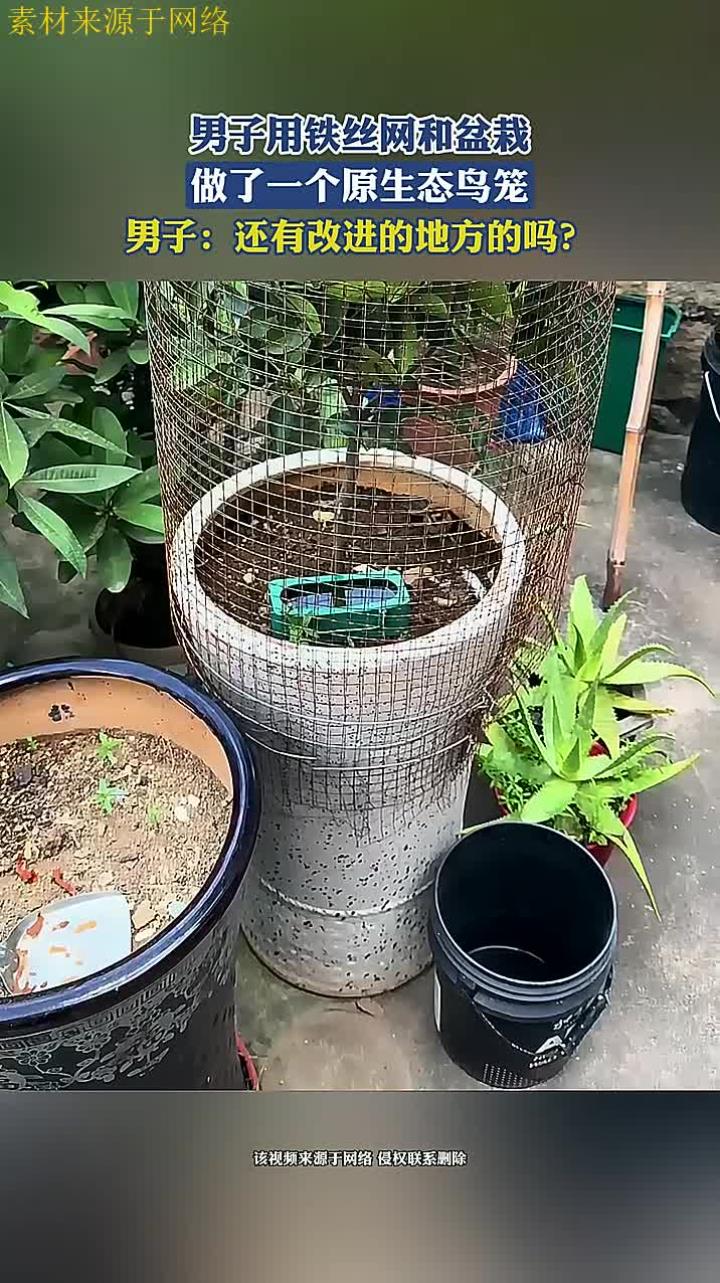 男子用铁丝网和盆栽,做了一个原生态鸟笼,男子:还有改进的地方的吗?