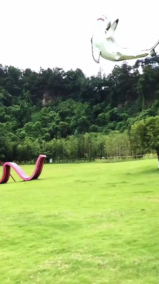 大海原来是鲨鱼哭出来的呀～