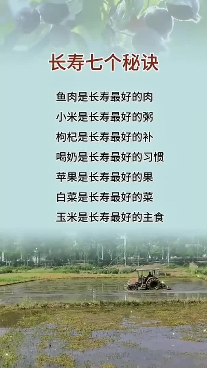 长寿七个秘诀,小米是长寿最好的粥,白菜是长寿最好的菜