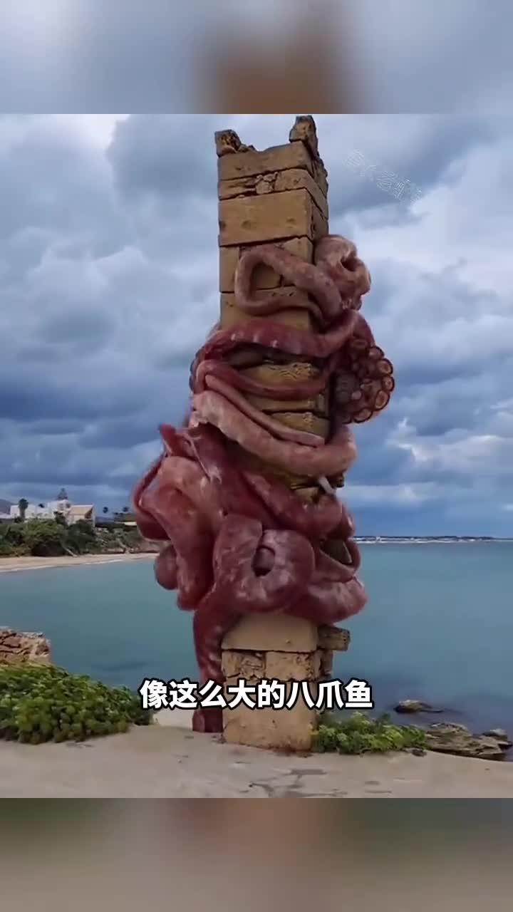 这八爪鱼是变异了吧