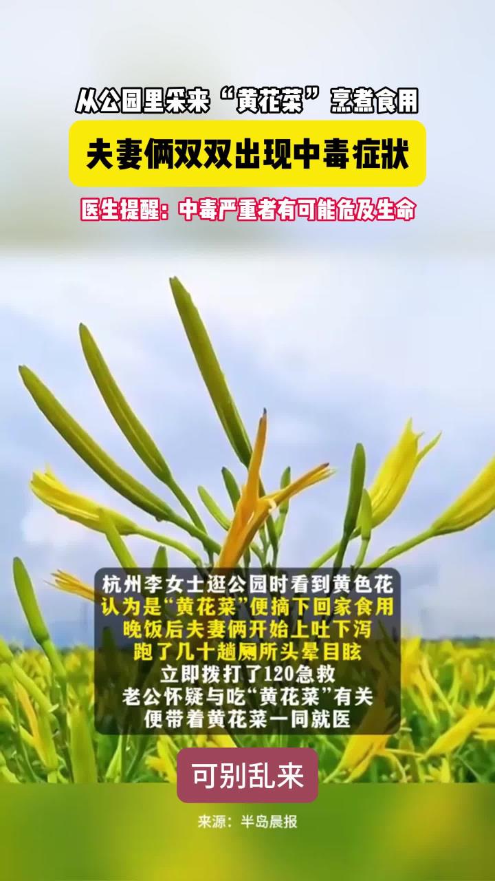 公园里采黄花菜烹食夫妻双双被毒翻