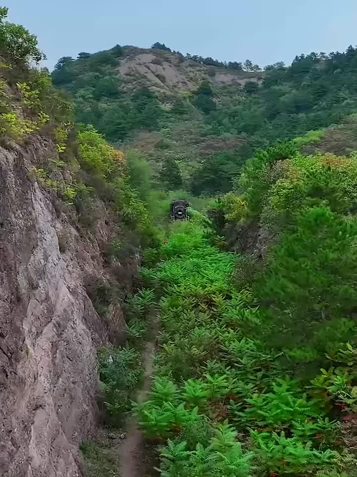 废弃蒸汽火车头，见过大世面