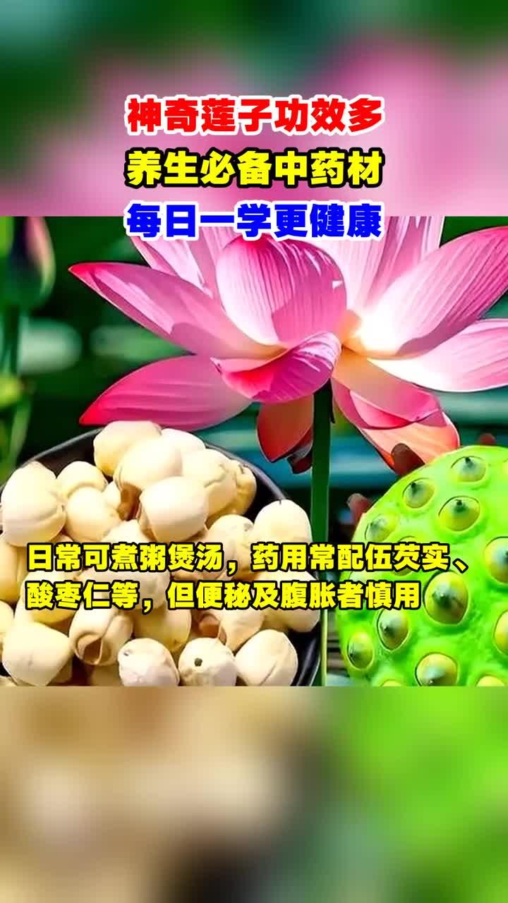 神奇莲子功效多,养生必备中药材,每日一学更健康