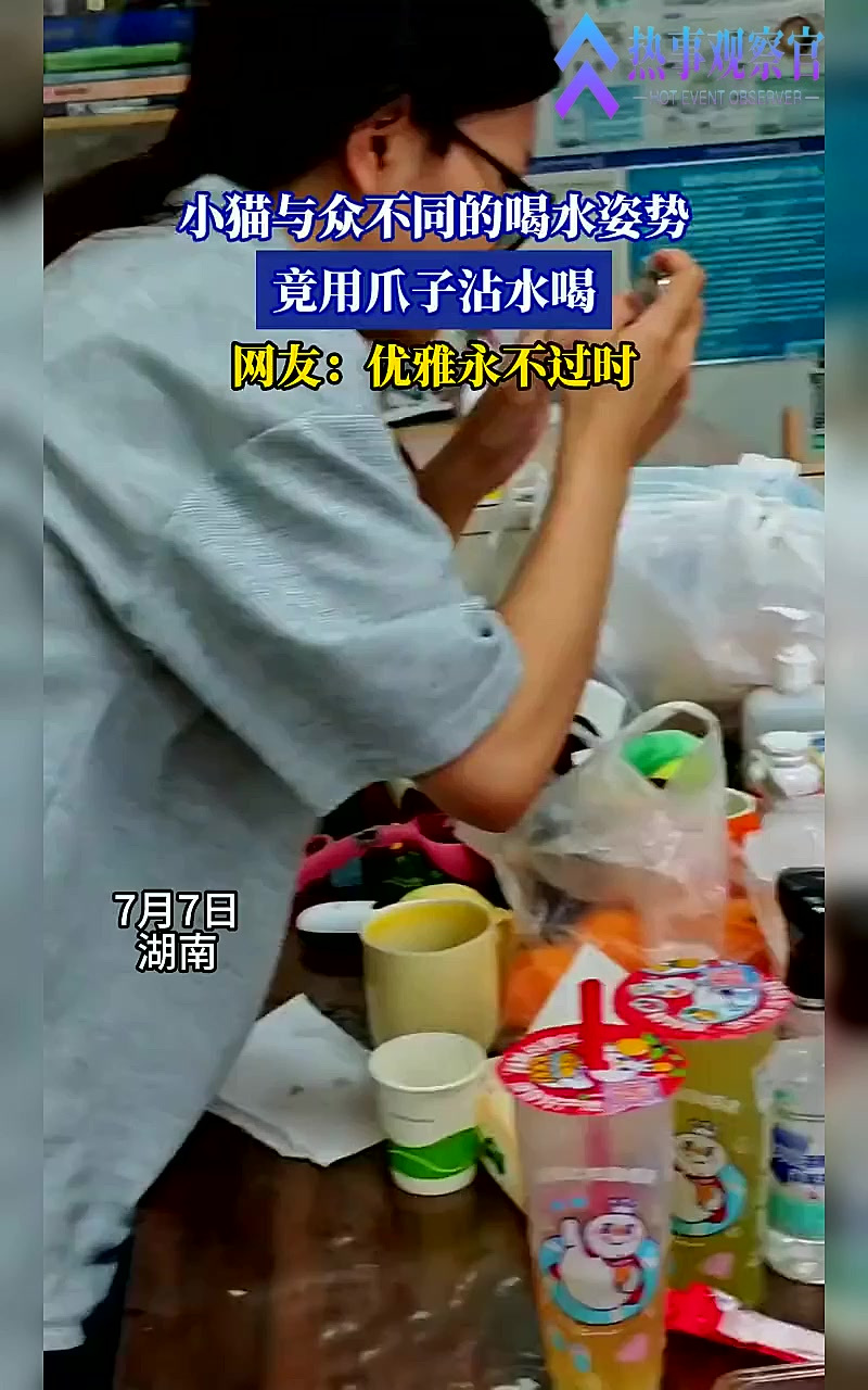 小猫与众不同的喝水姿势,竟用爪子沾水喝,网友:优雅永不过时