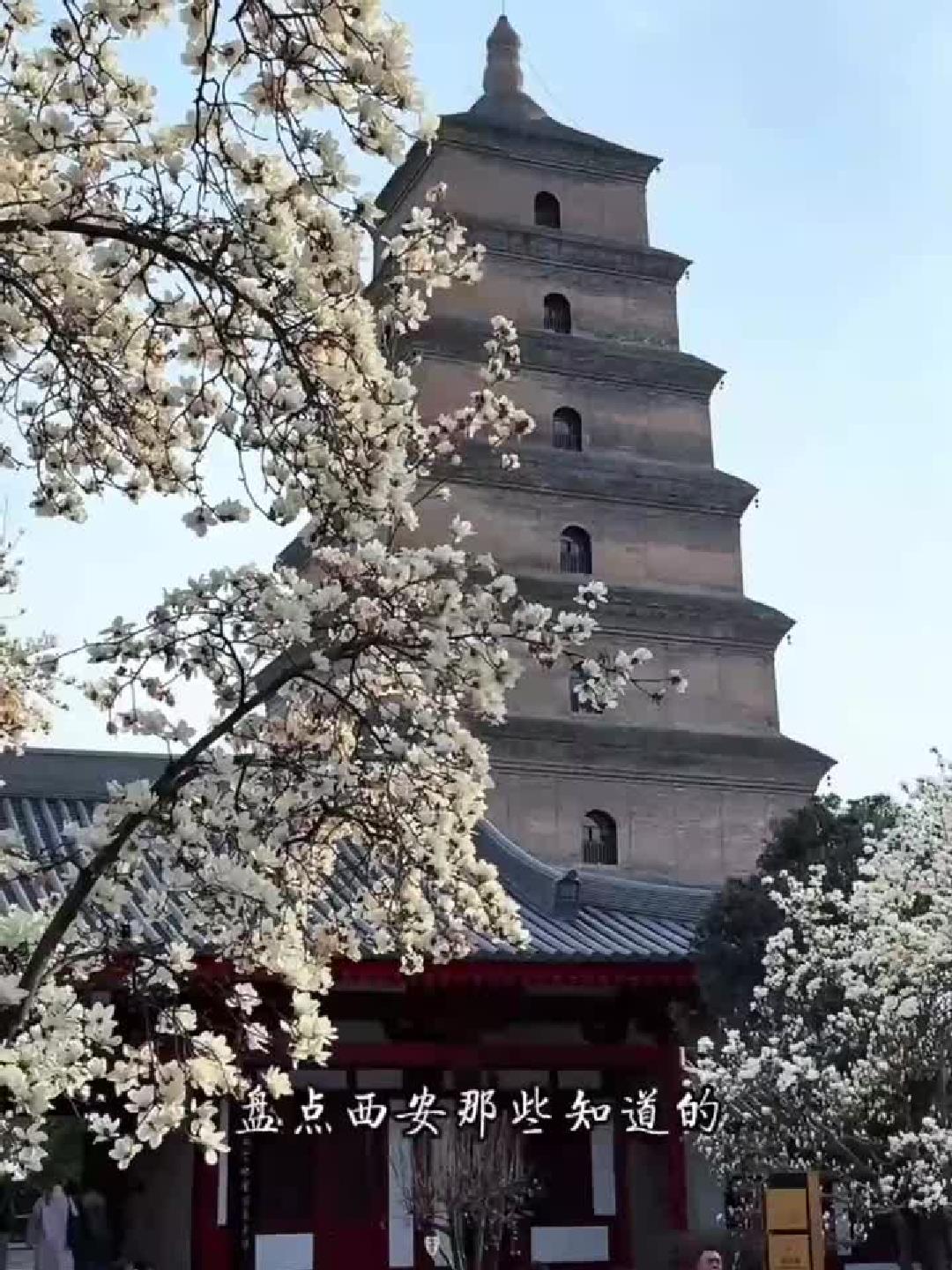 西安七处小众免费野生景点少有人知晓，景致独特出片率高，本地人私藏游玩宝地