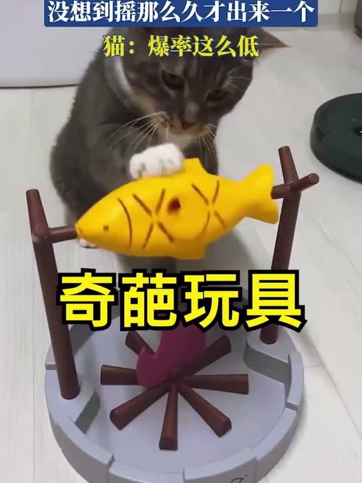 盘点4种搞笑玩具,小鱼老虎机?