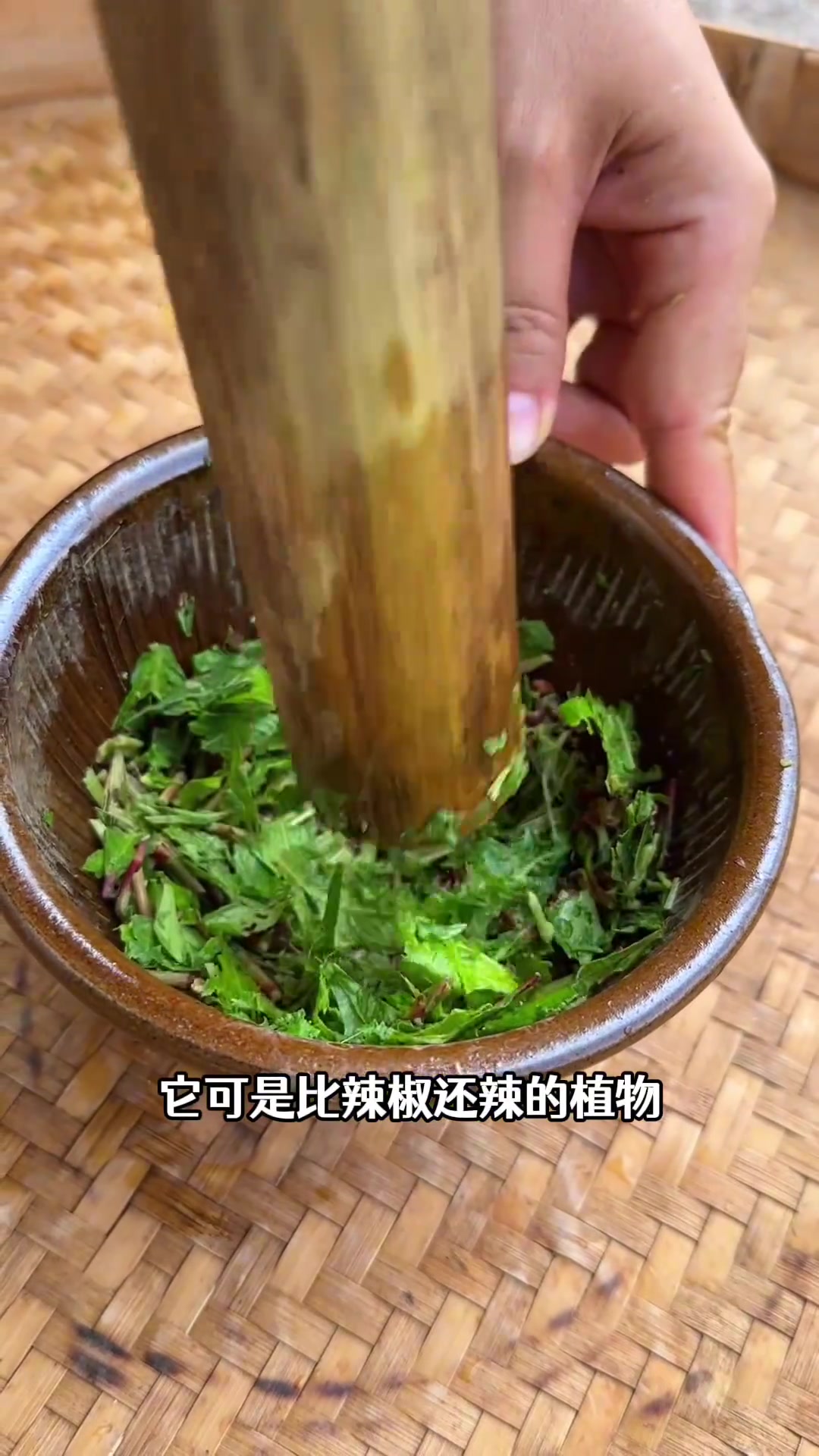 辣蓼草又叫醉鱼草，是钓鱼佬的法宝，你知道它的价值吗