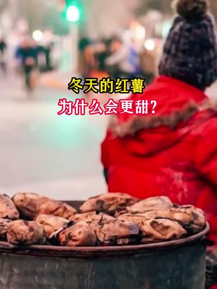 懒人电饭煲一锅出三菜一汤,营养满分鲜香四溢,养生又省心