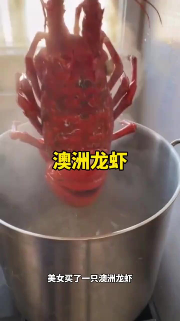 美女厨艺展示:如何轻松剥离澳洲龙虾的美味秘籍
