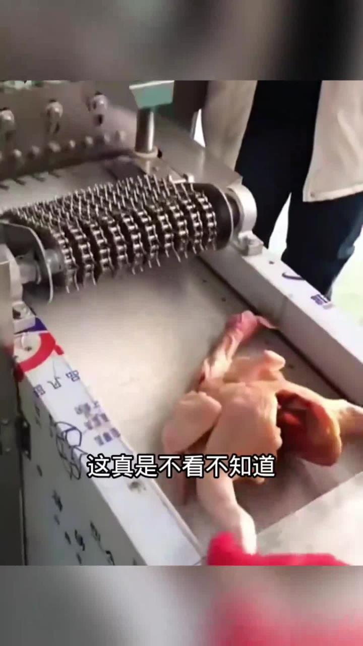 机器分割鸡块,效率惊人!