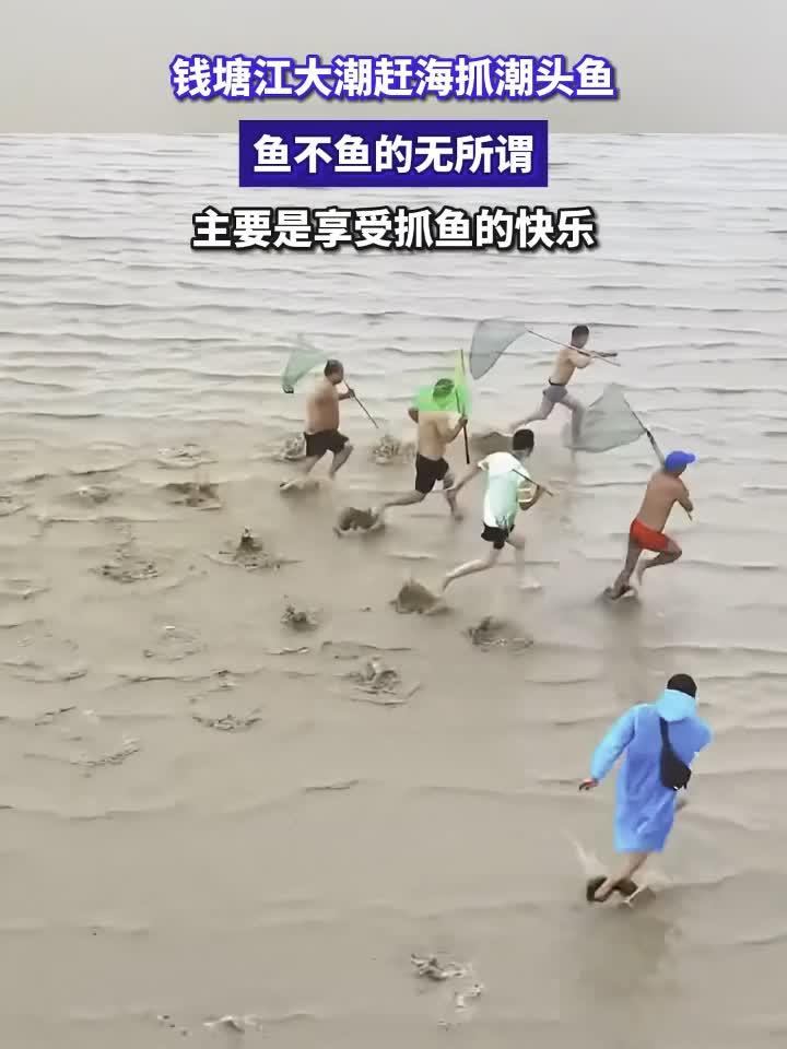 钱塘江大潮赶海抓潮头鱼。鱼不鱼的无所谓，主要是享受抓鱼的快乐