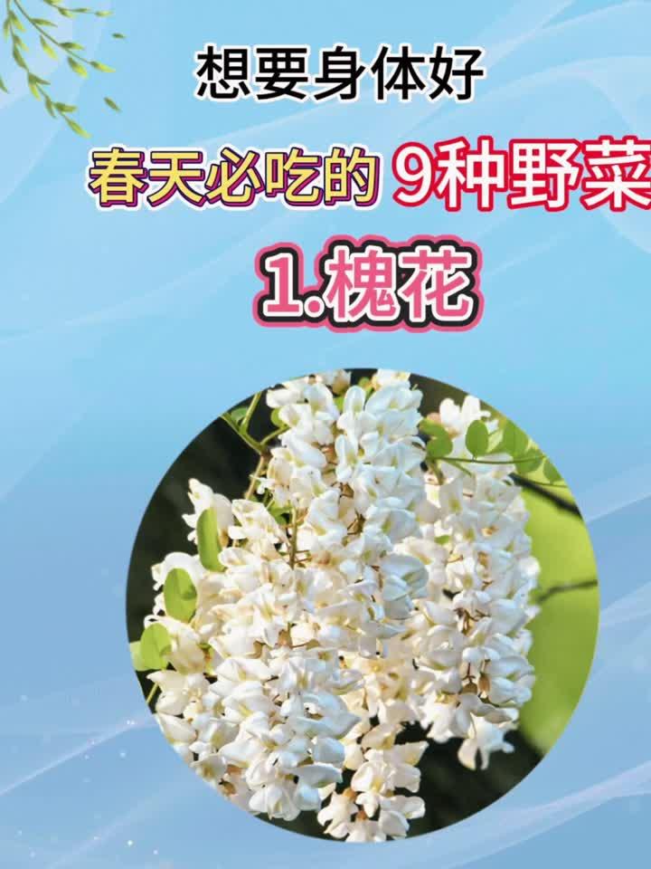 想要身体好，春天必吃的九种野菜