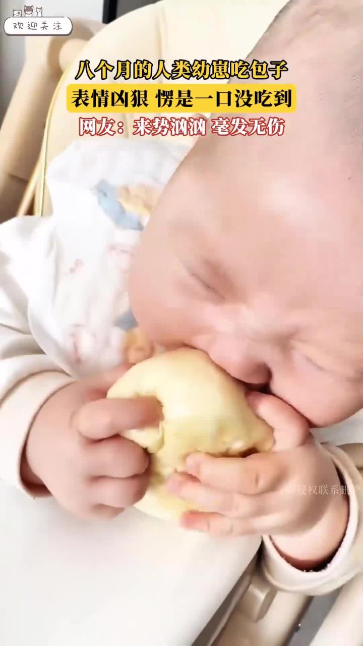 八个月的人类幼崽吃包子,表情凶狠,愣是一口没吃到