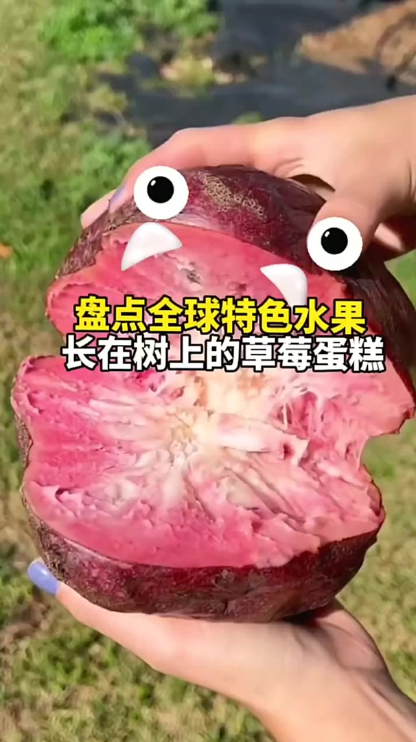 各种长在树上的甜品糕点一样的水果,你吃过没有