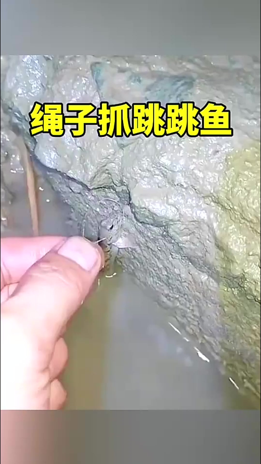 绳子抓跳跳鱼,结局亮了