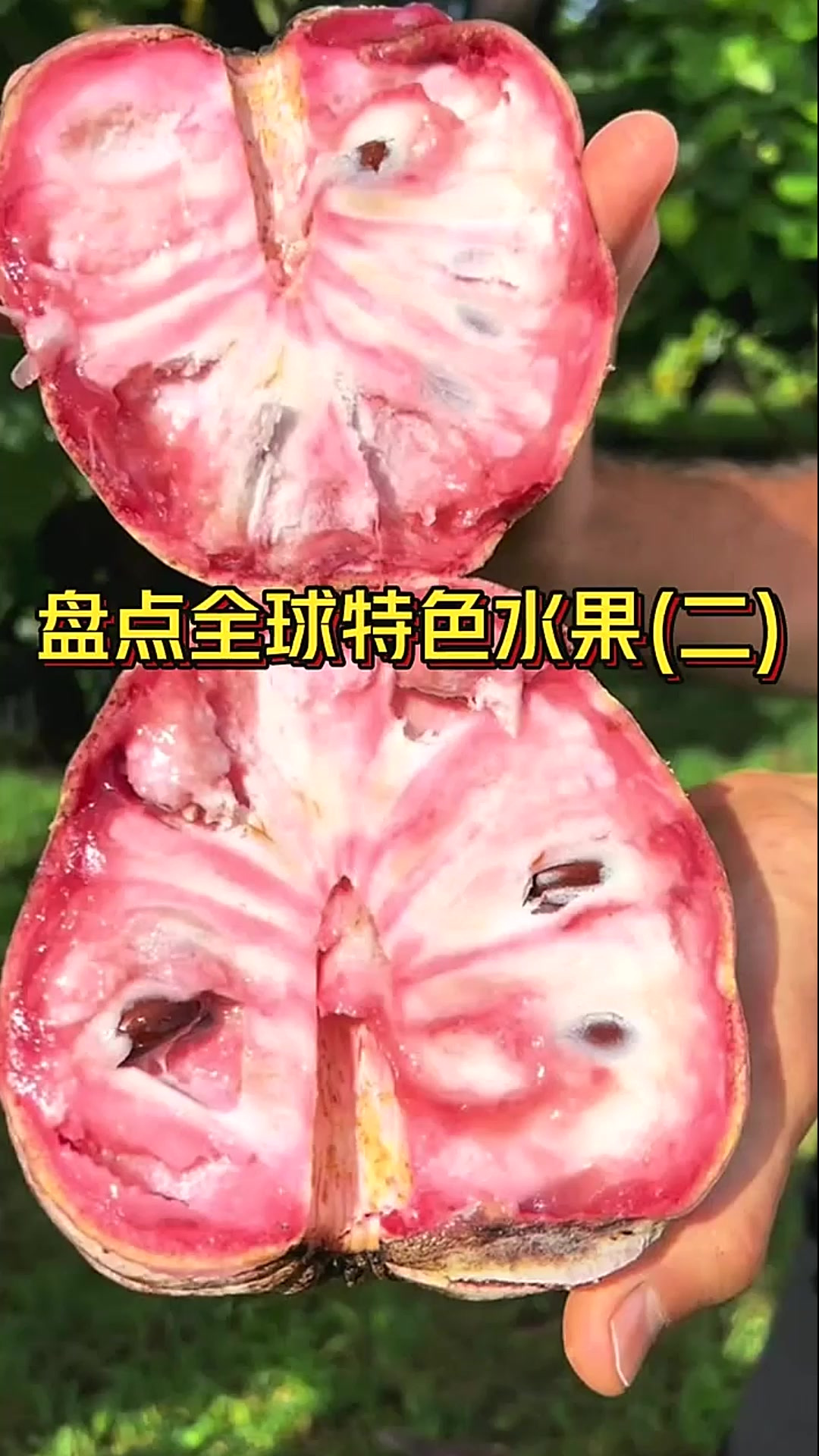 盘点全球各种特色水果(二),你都吃过没有