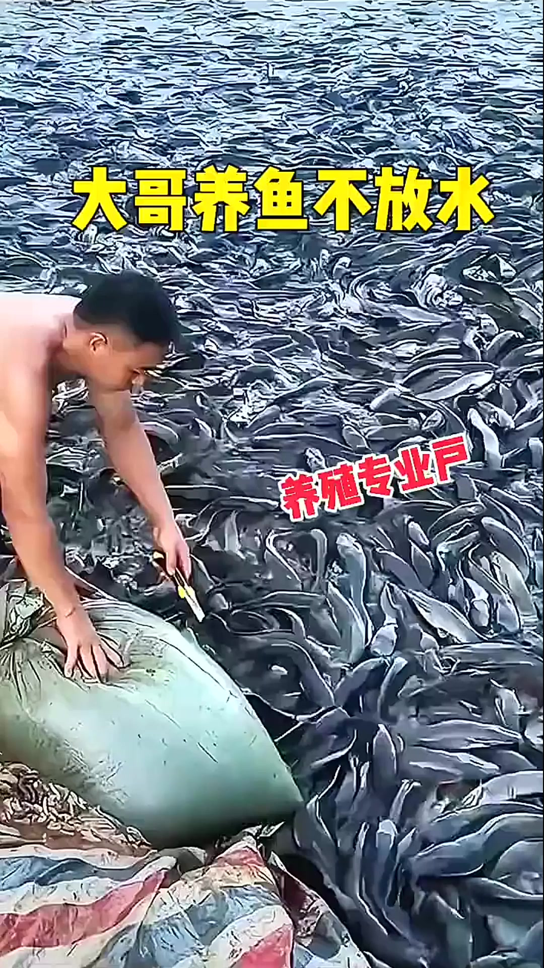 大哥养鱼不放水，是专业的吗