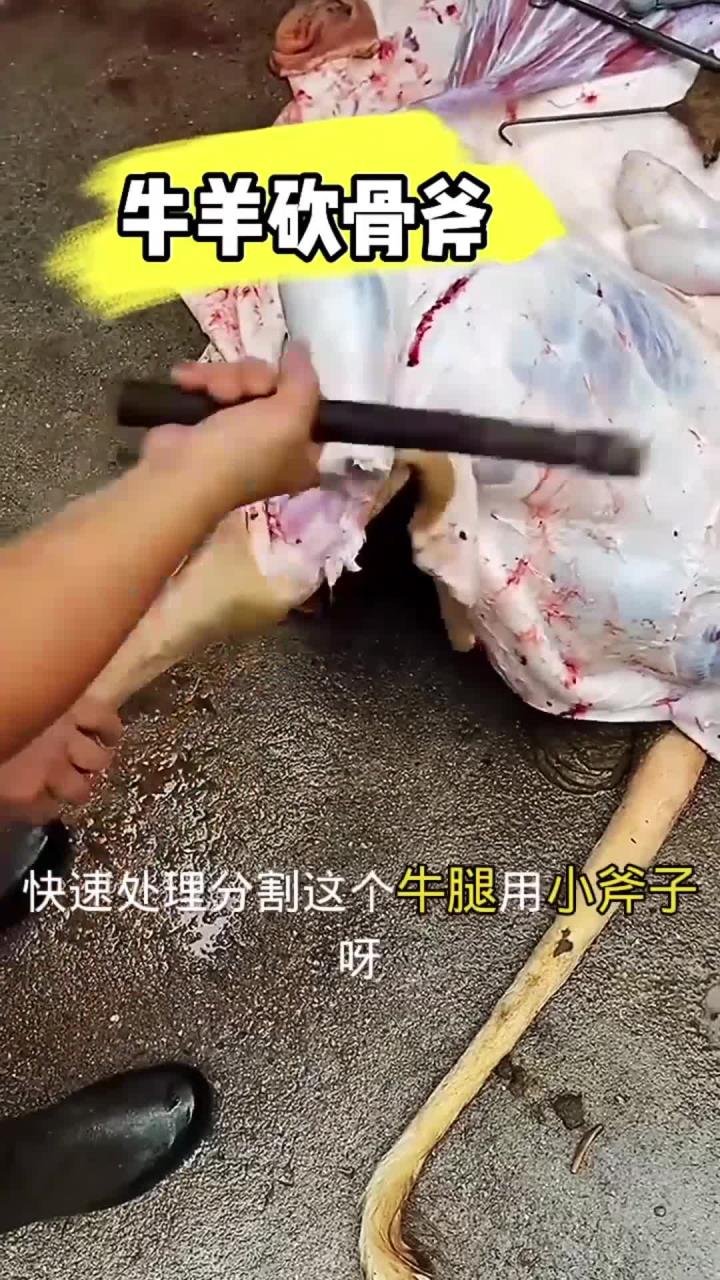 大哥快速处理分割牛腿呢
