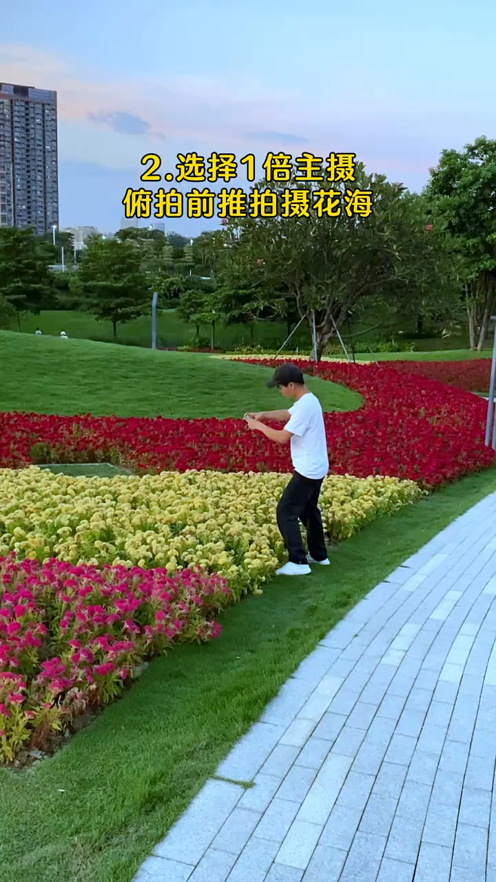 国庆出游看到鸡冠花试试这样拍唯美小短片