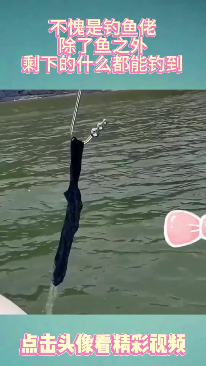 不愧是钓鱼佬,除了鱼之外!剩下的什么都能钓到!