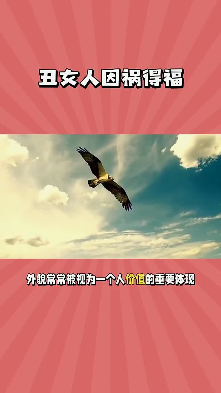 放大镜搜神奇壁纸,输入m8029下载高清原图