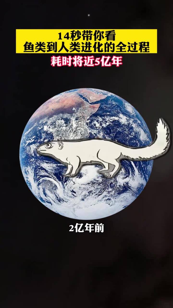 14秒带你看鱼类到人类进化的全过程,耗时将近5亿年!