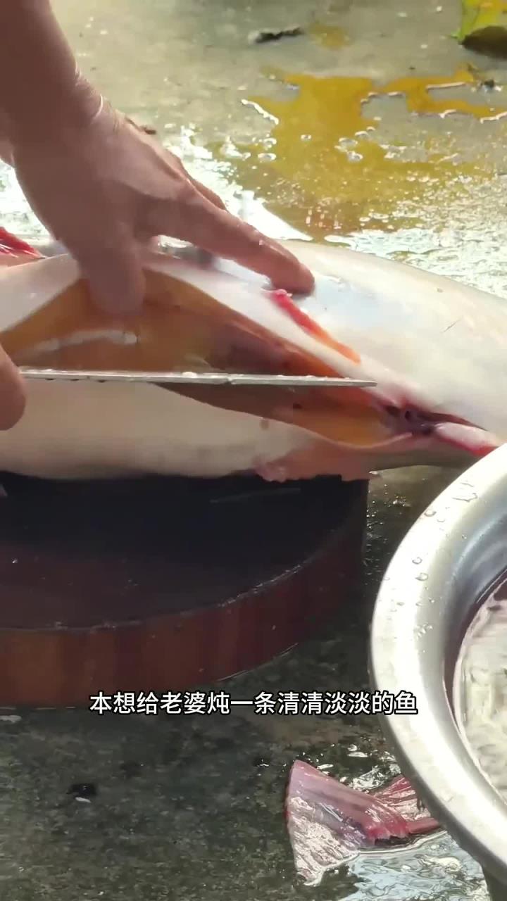 难得一遇的黄油鱼，太不可思议了