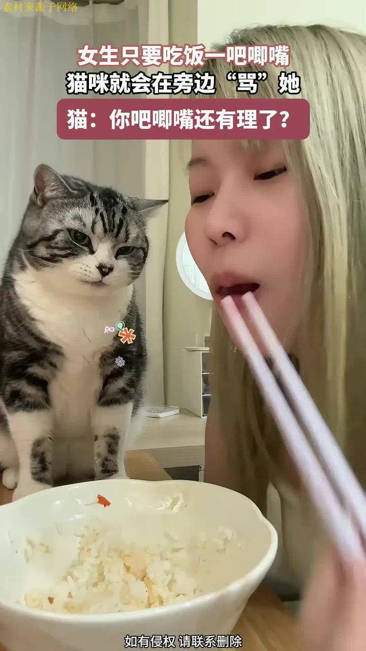 女生只要吃饭,一吧唧嘴,猫咪就会在旁边“骂”她
