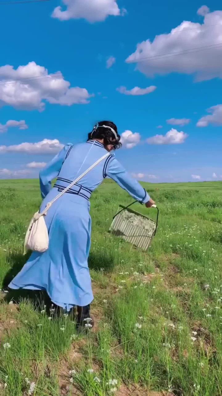 内蒙古野生韭菜花酱
