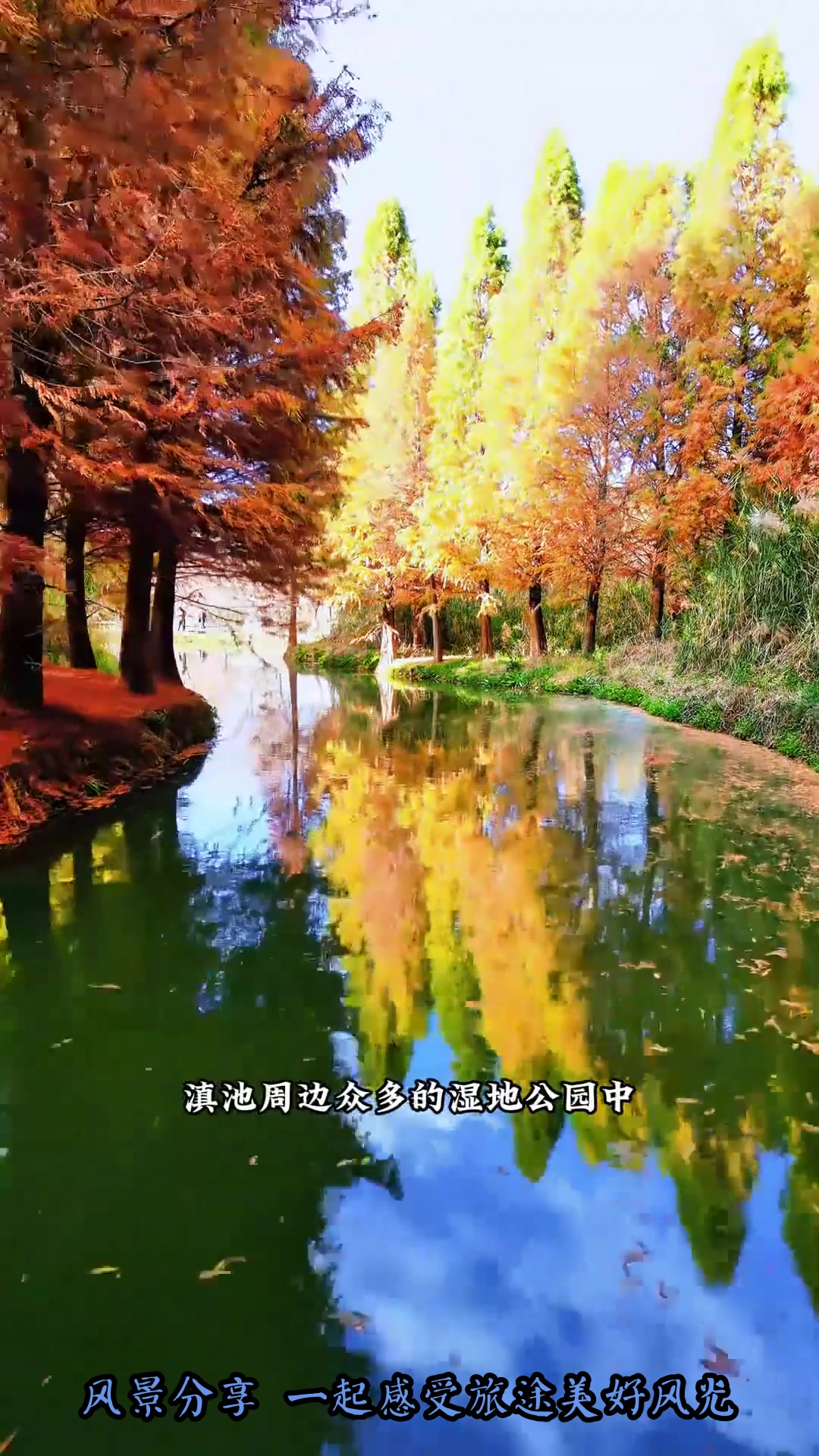 夏日旅行,昆明捞鱼河湿地公园:自然与诗意的梦幻之地……旅游推荐
