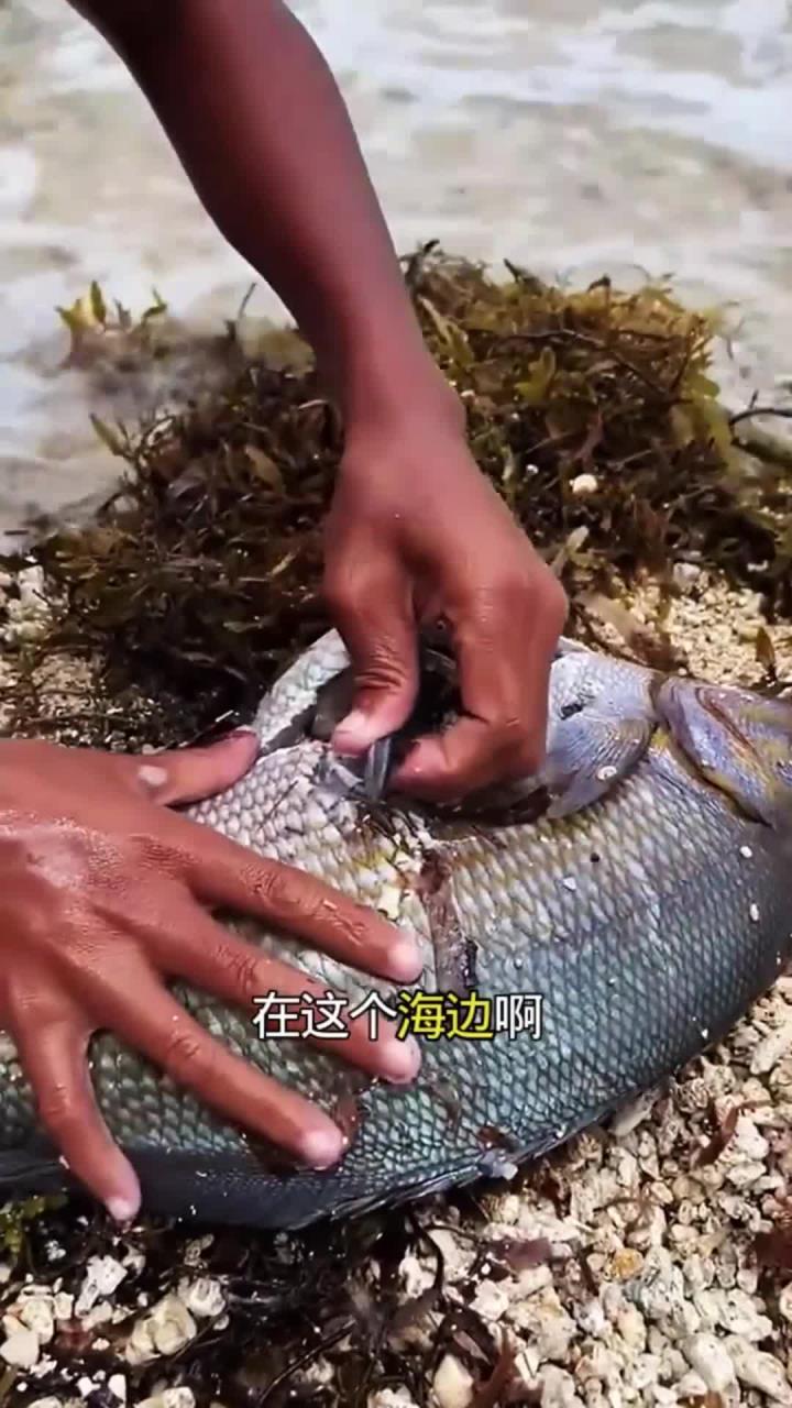 海边抓到一条大鱼