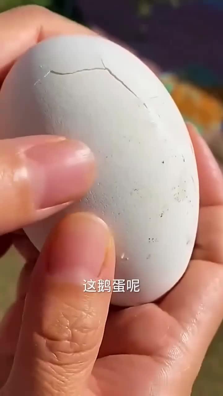 这个鹅蛋黄挺漂亮的