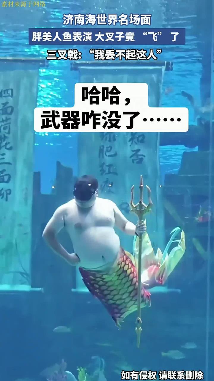 济南海世界名场面!胖美人鱼表演,大叉子竟 “飞” 了