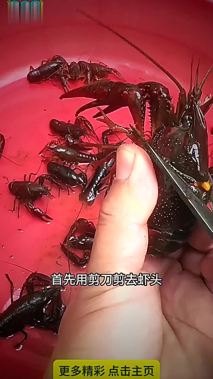 处理小龙虾最干净的方法