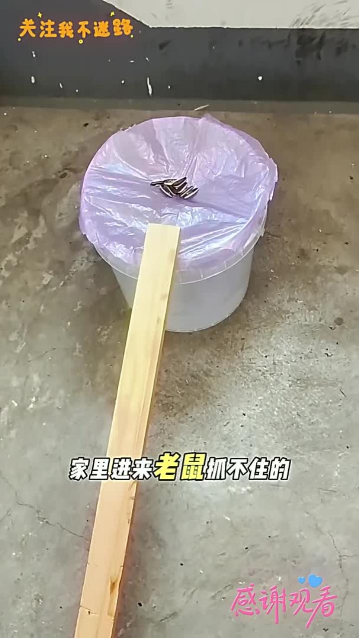 不用夹子不用药,老鼠来一个抓一个,自制抓老鼠神器