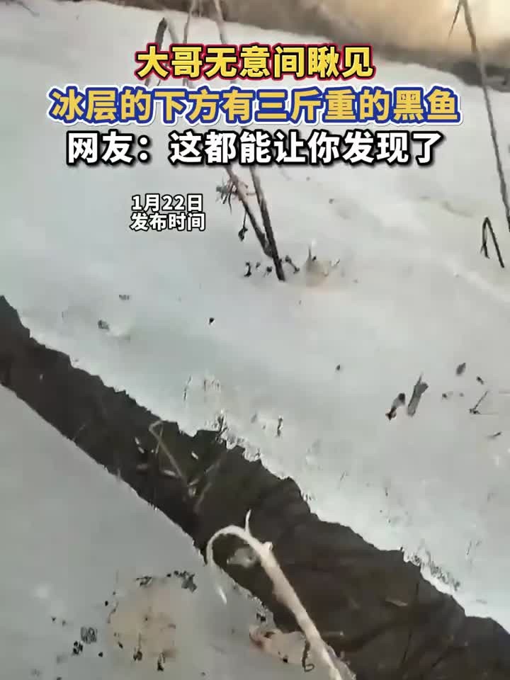 大哥无意间瞅见，冰层的下方有三斤重的黑鱼，网友：这都能让你发